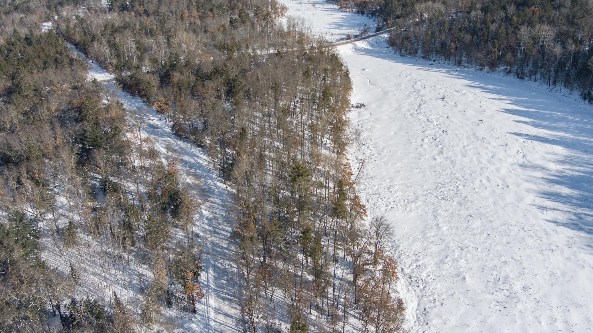 30282 North Des Moines Lake Road Webb Lake, WI 54830 - Photo 15 of 16