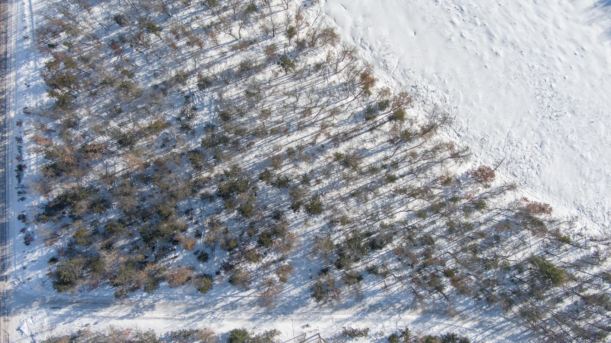 30282 North Des Moines Lake Road Webb Lake, WI 54830 - Photo 16 of 16