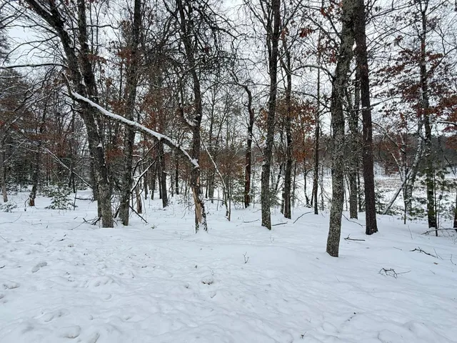 $110,000 | 30282 North Des Moines Lake Road, Webb Lake, WI 54830