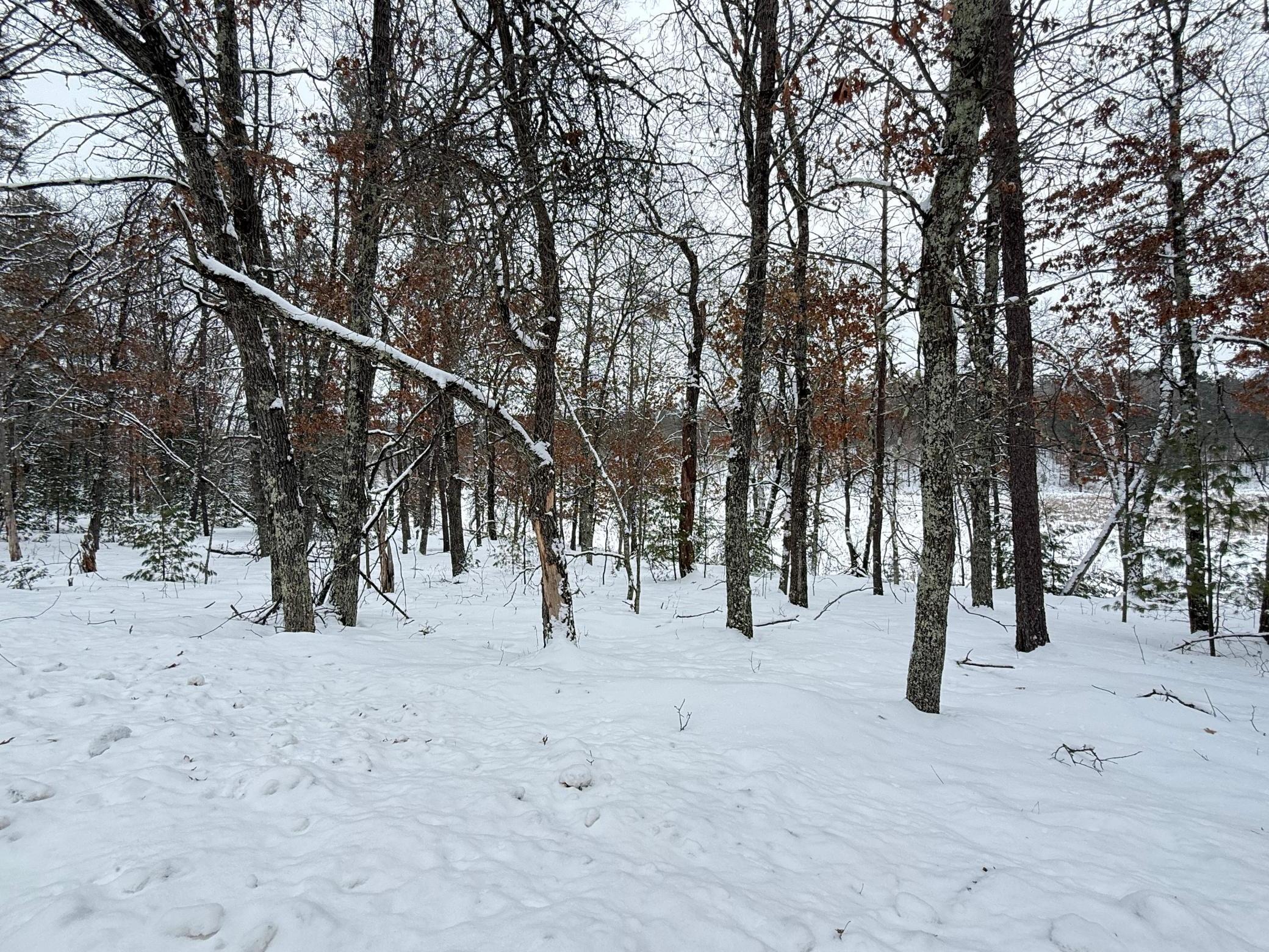 30282 North Des Moines Lake Road Webb Lake, WI 54830 - Photo 3 of 9