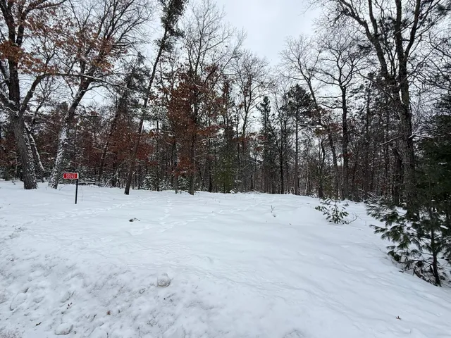 $110,000 | 30282 North Des Moines Lake Road, Webb Lake, WI 54830