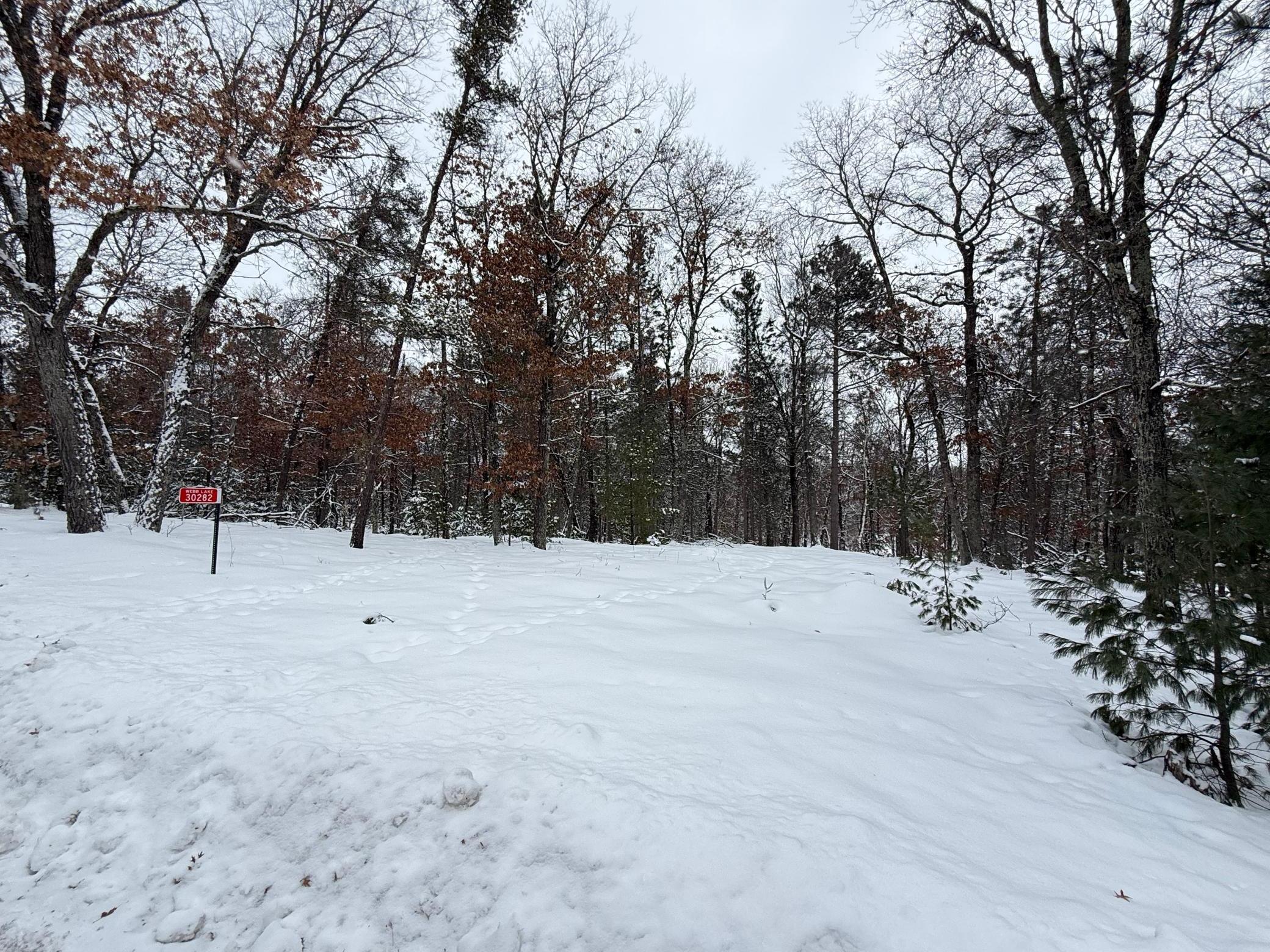 30282 North Des Moines Lake Road Webb Lake, WI 54830 - Photo 4 of 9