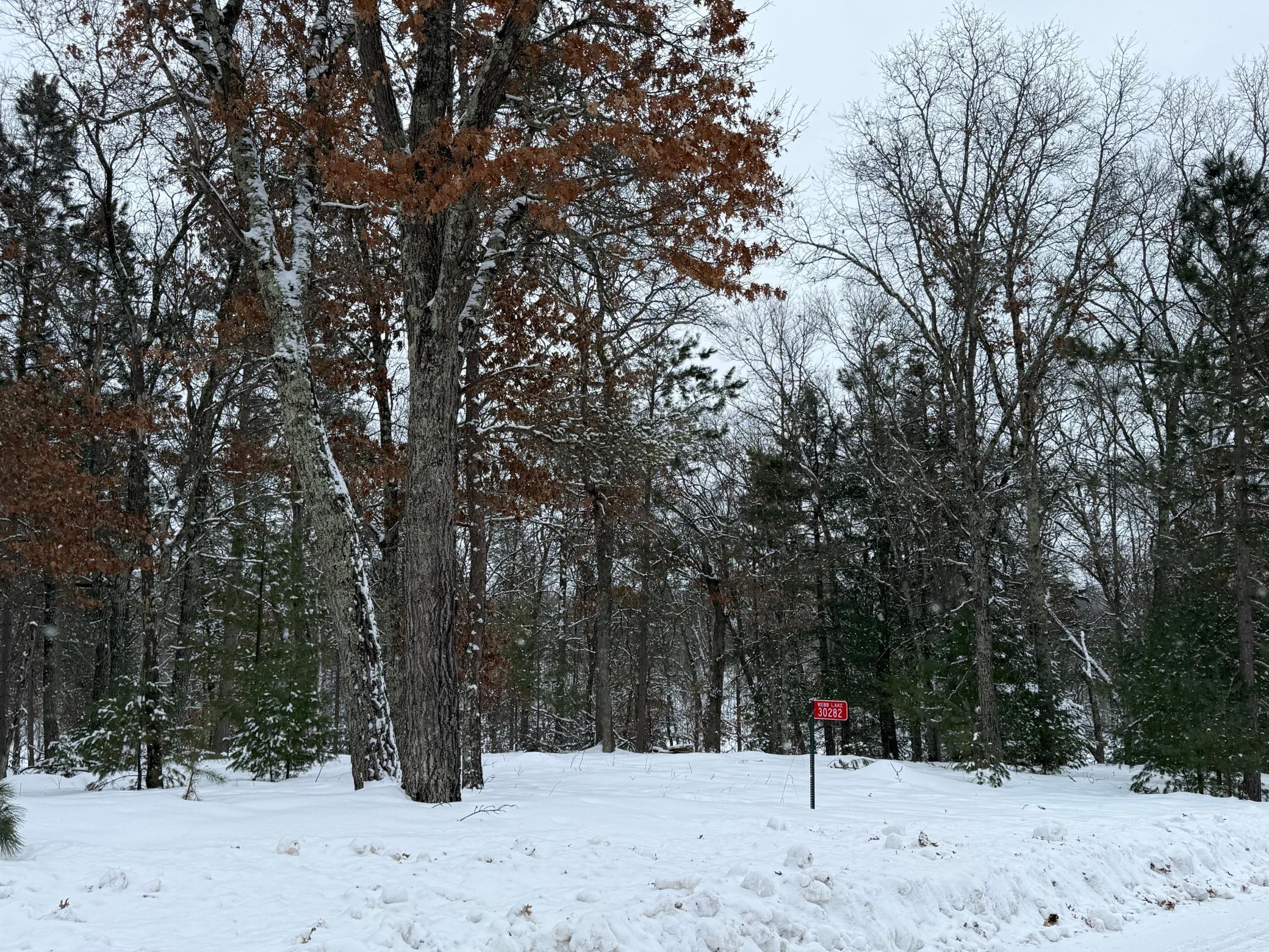 30282 North Des Moines Lake Road Webb Lake, WI 54830 - Photo 5 of 9