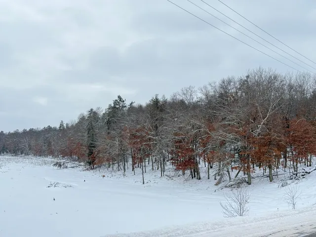 $110,000 | 30282 North Des Moines Lake Road, Webb Lake, WI 54830