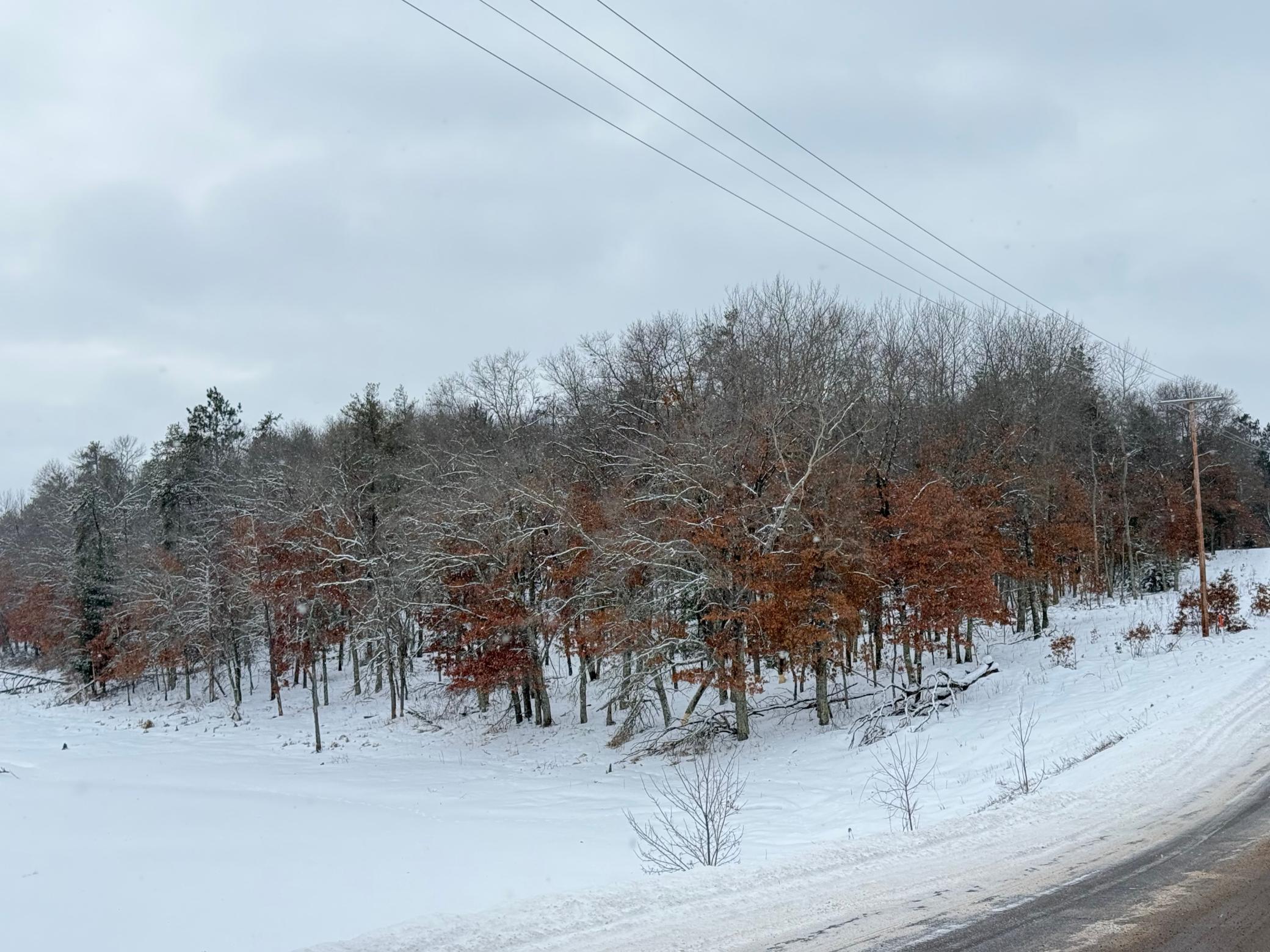 30282 North Des Moines Lake Road Webb Lake, WI 54830 - Photo 9 of 9