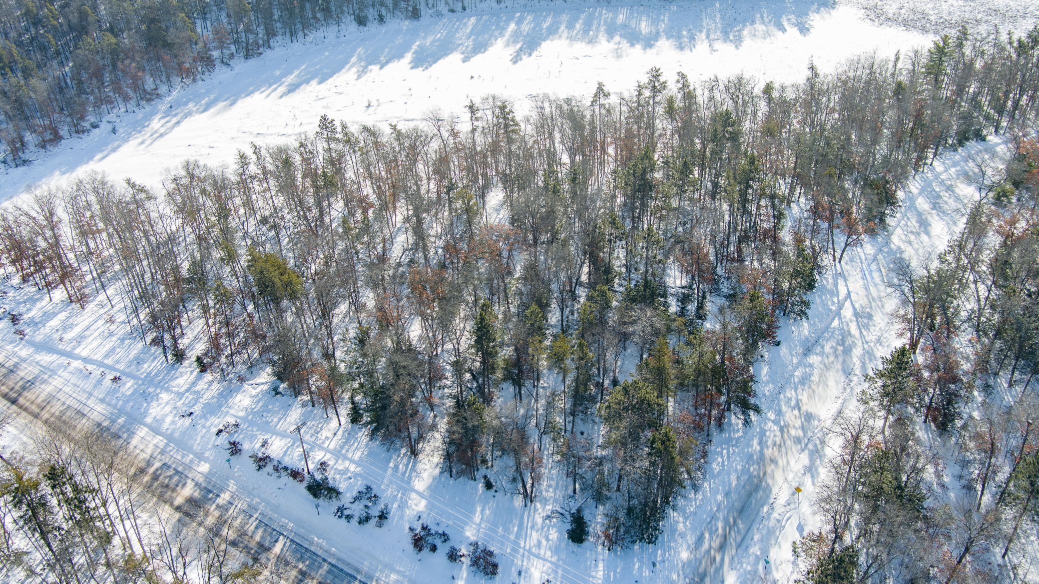 30282 North Des Moines Lake Road Webb Lake, WI 54830 - Photo 10 of 16