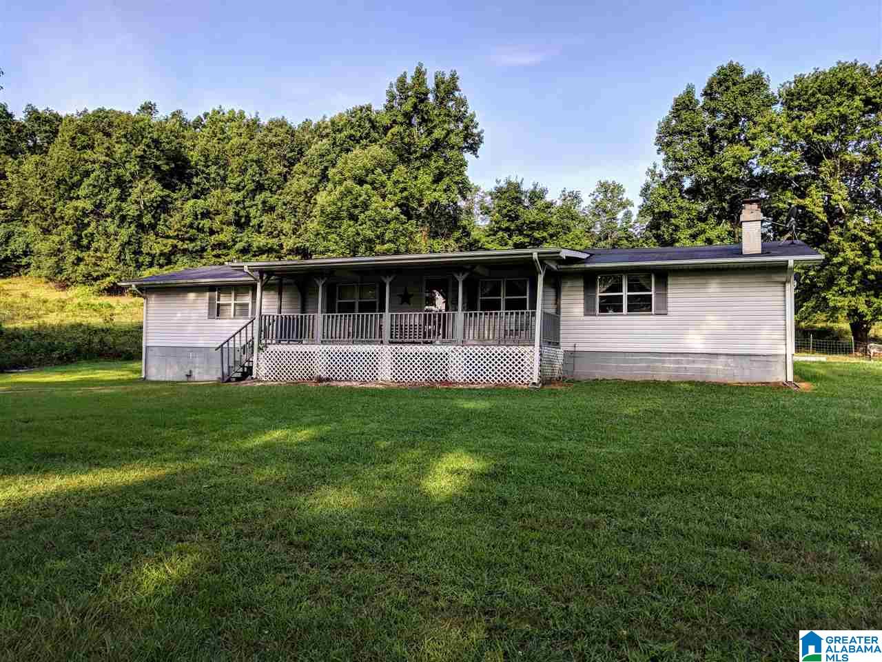 881 Douglas Lane Oneonta, AL 35121 - Photo 11 of 27
