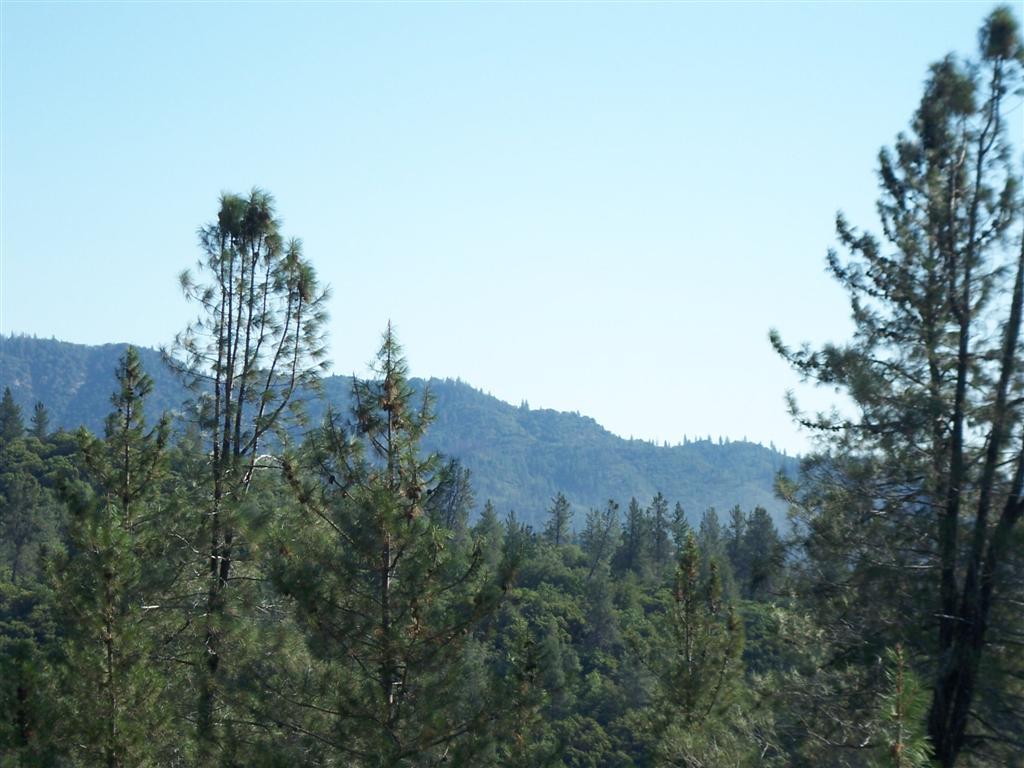 Off Miners Gulch Road Shasta, CA 96087 - Photo 9 of 16 2