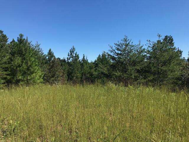 4 Athens Road Calhoun, TN 37309 - Photo 5 of 17 Chestuee 4 field