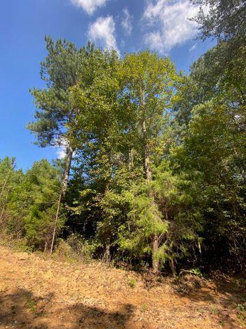 4 Athens Road Calhoun, TN 37309 - Photo 7 of 17 new 4 3