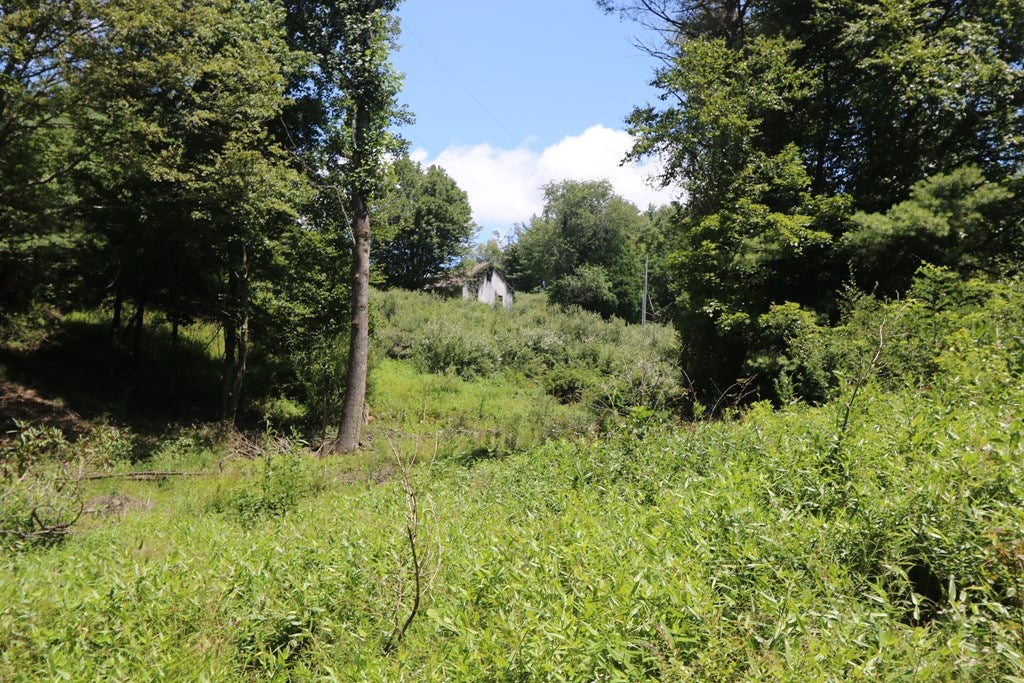 Tbd Southwest Tbd Sw Black Ridge Road Floyd, VA 24091 - Photo 2 of 22 Gallery Image 2
