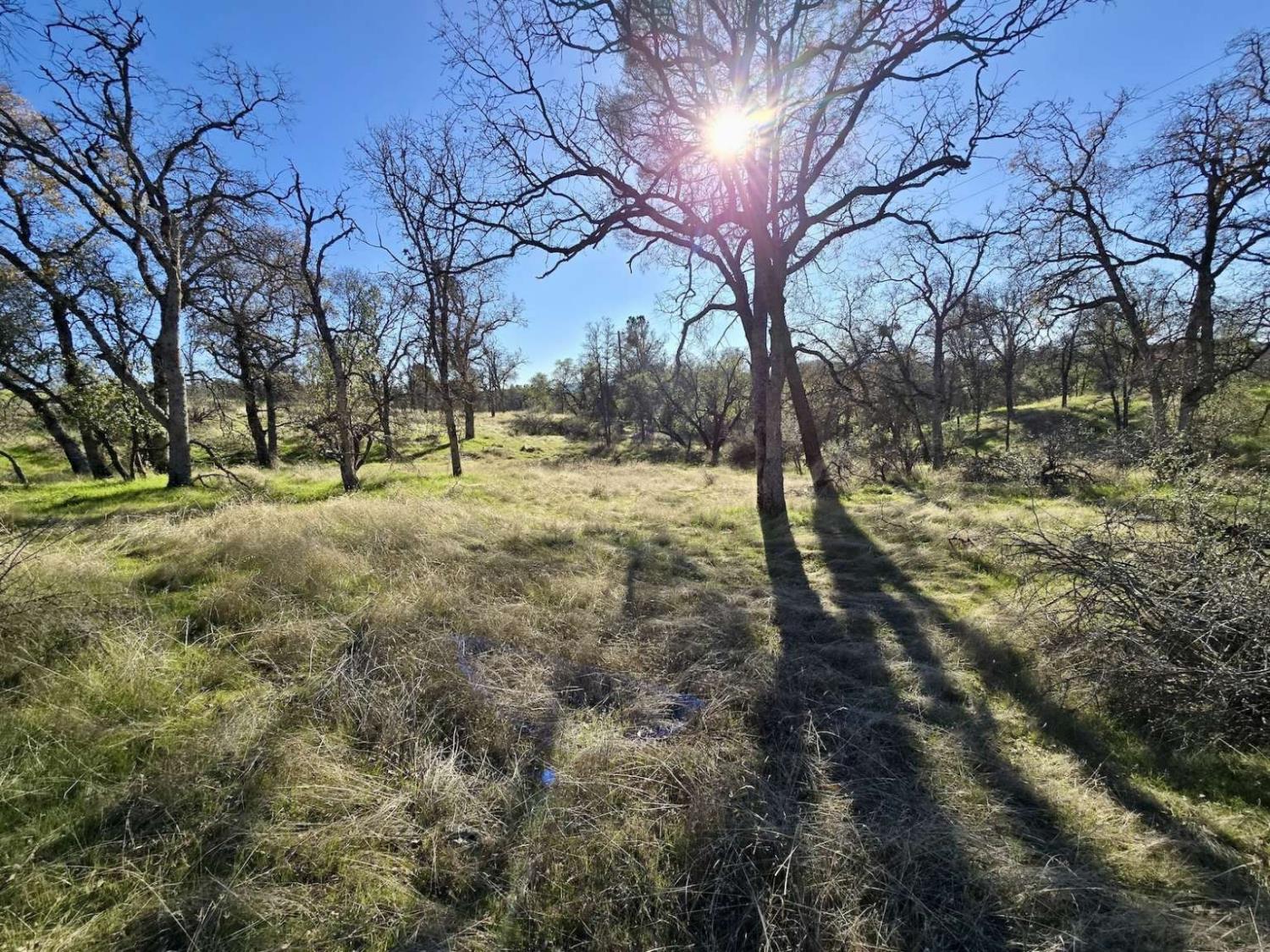 a view of outdoor space with trees