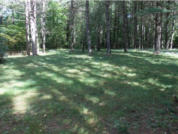 131 School Road Lempster, NH 03605 - Photo 1 of 1 Gallery Image 1