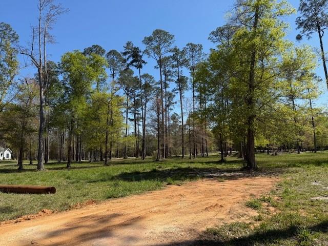 0 Cypress Pond Road Mandeville, LA 70448 - Photo 3 of 5