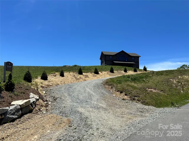 a view of a lush green field with lots of water in it