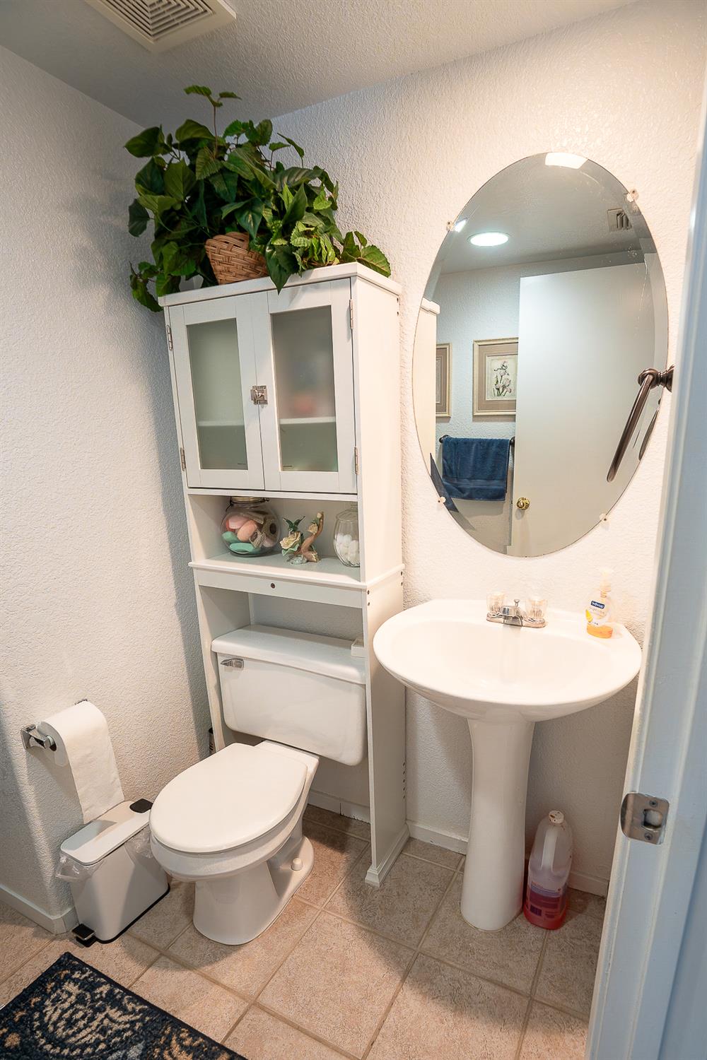4237 Narraganset Way Mather, CA 95655 - Photo 20 of 40 a bathroom with a sink toilet and mirror