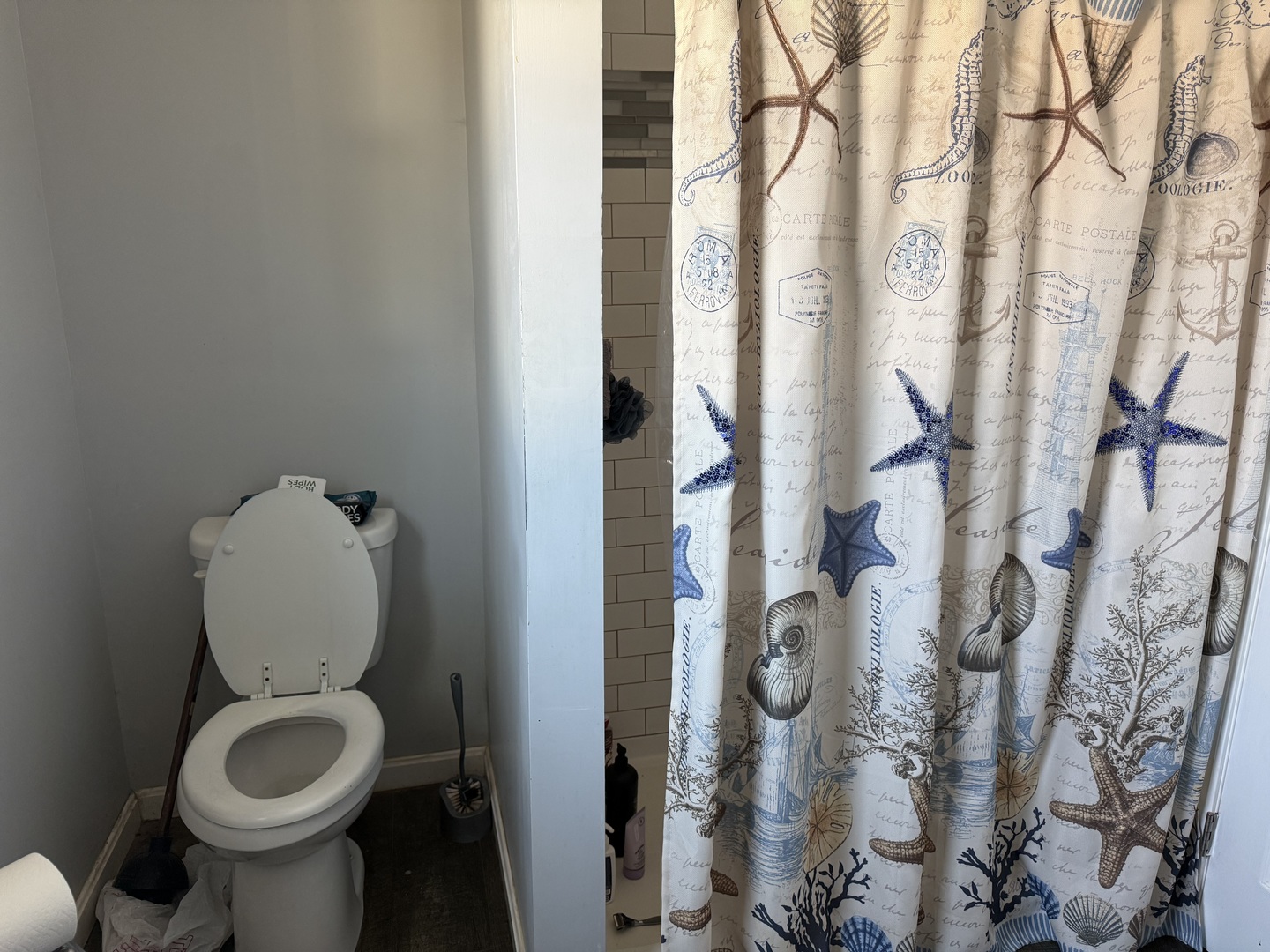 2000 1st Street Eldorado, IL 62930 - Photo 11 of 19 a bathroom with a toilet and a sink