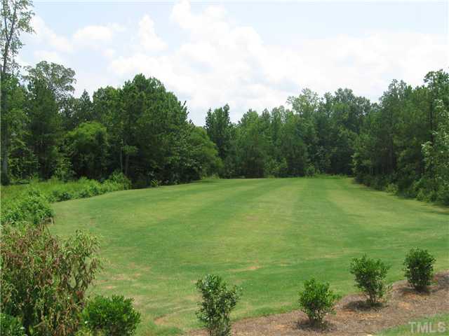 6721 Rex Road Holly Springs, NC 27540 - Photo 3 of 3 Soccer field is ready to be enjoyed!