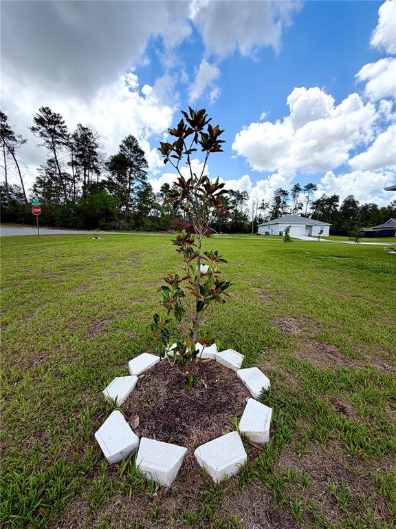 15943 Southwest 53rd Court Ocala, FL 34473 - Photo 18 of 19