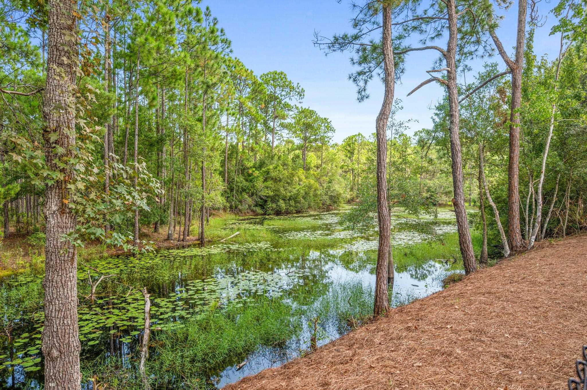 6132 Highway 1 St. Augustine, FL 32086 - Photo 23 of 55 a view of a garden with plants