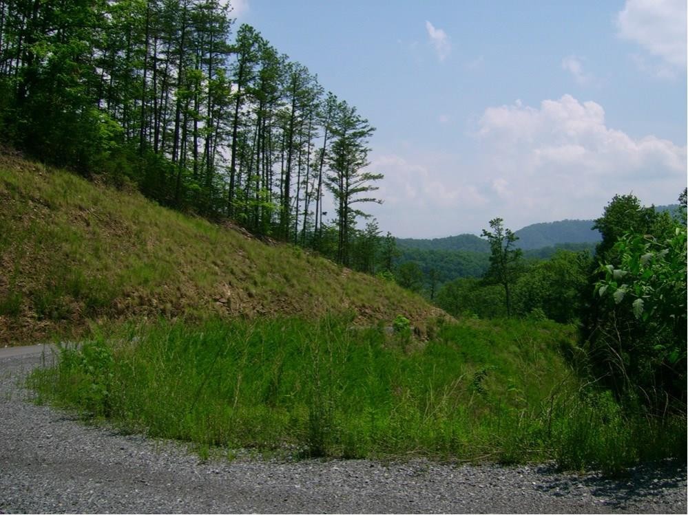 102 Deerskin Road Sevierville, TN 37862 - Photo 1 of 11 Gallery Image 1