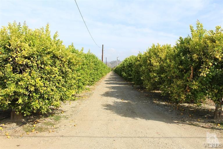 Telegraph Road Santa Paula, CA 93060 - Photo 11 of 19 Gallery Image 11