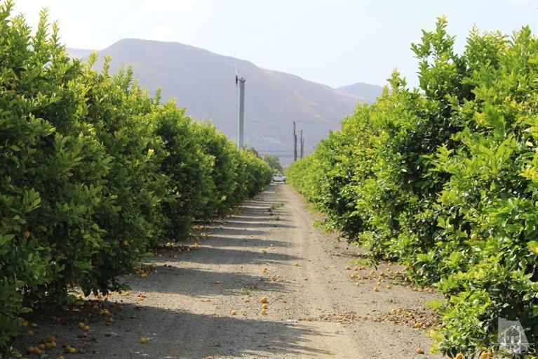 Telegraph Road Santa Paula, CA 93060 - Photo 13 of 19 Gallery Image 13