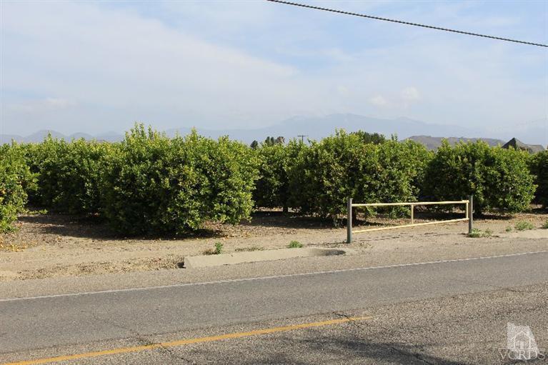 Telegraph Road Santa Paula, CA 93060 - Photo 17 of 19 Gallery Image 17