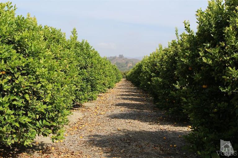 Telegraph Road Santa Paula, CA 93060 - Photo 18 of 19 Gallery Image 18