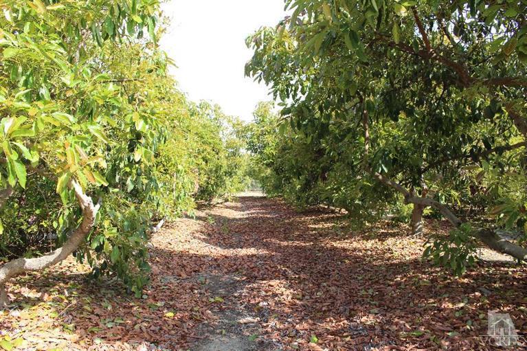 Telegraph Road Santa Paula, CA 93060 - Photo 4 of 19 Gallery Image 4
