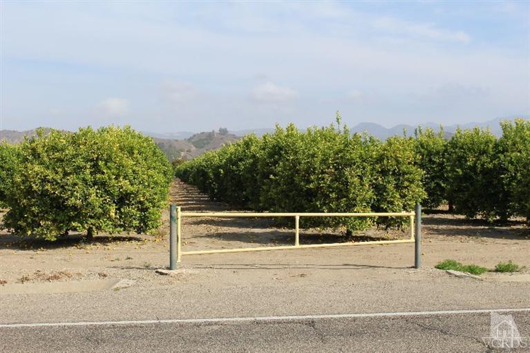 Telegraph Road Santa Paula, CA 93060 - Photo 5 of 19 Gallery Image 5