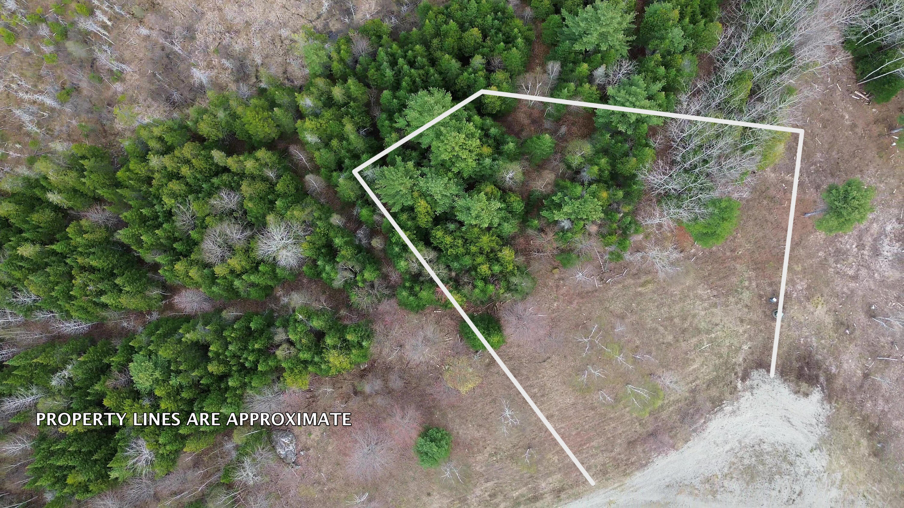 Lot 18 Bailey Mountain Road Franklin, ME 04634 - Photo 3 of 14 LOT18 Approx outline