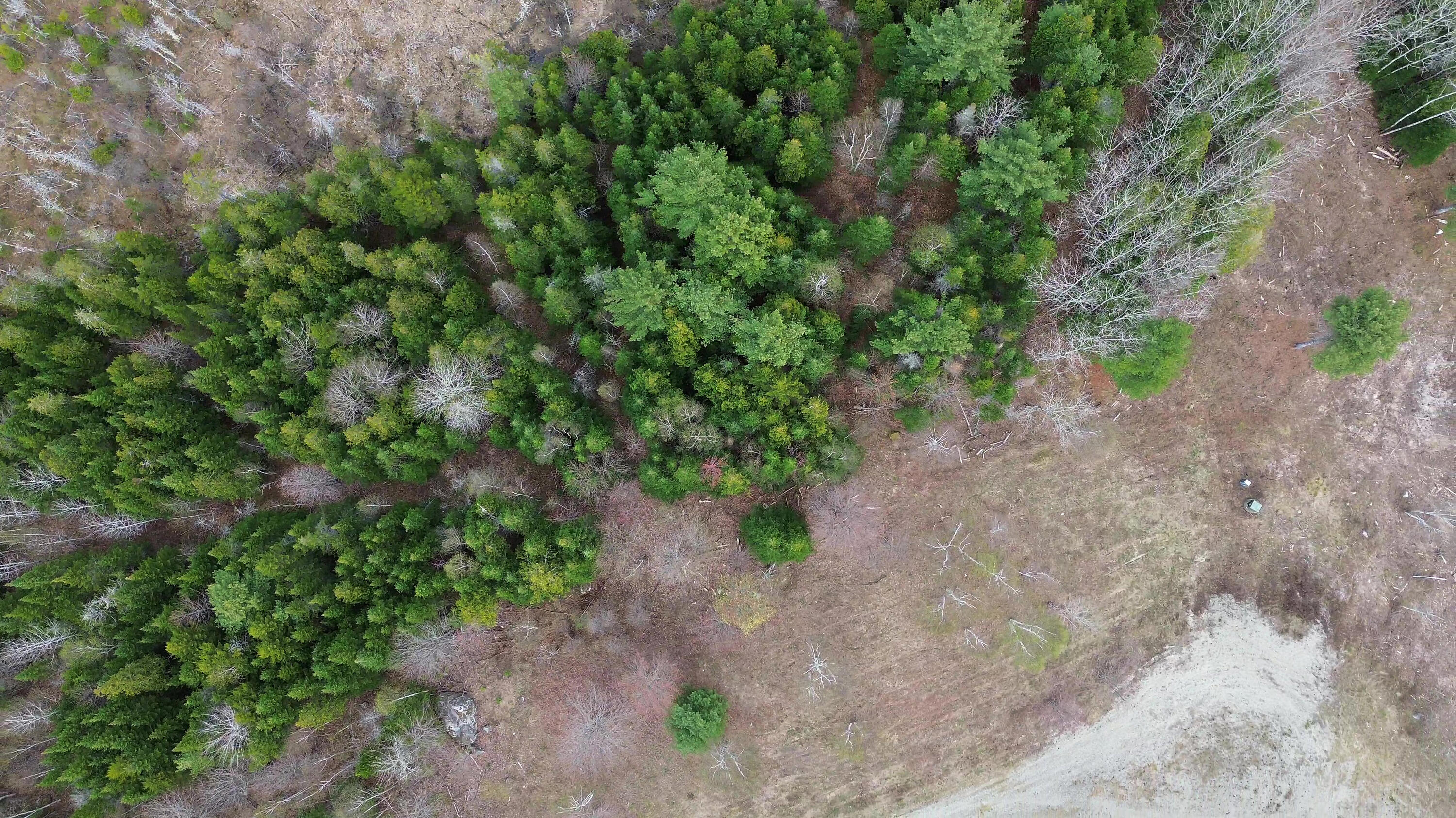 Lot 18 Bailey Mountain Road Franklin, ME 04634 - Photo 4 of 14 Partiall cleared