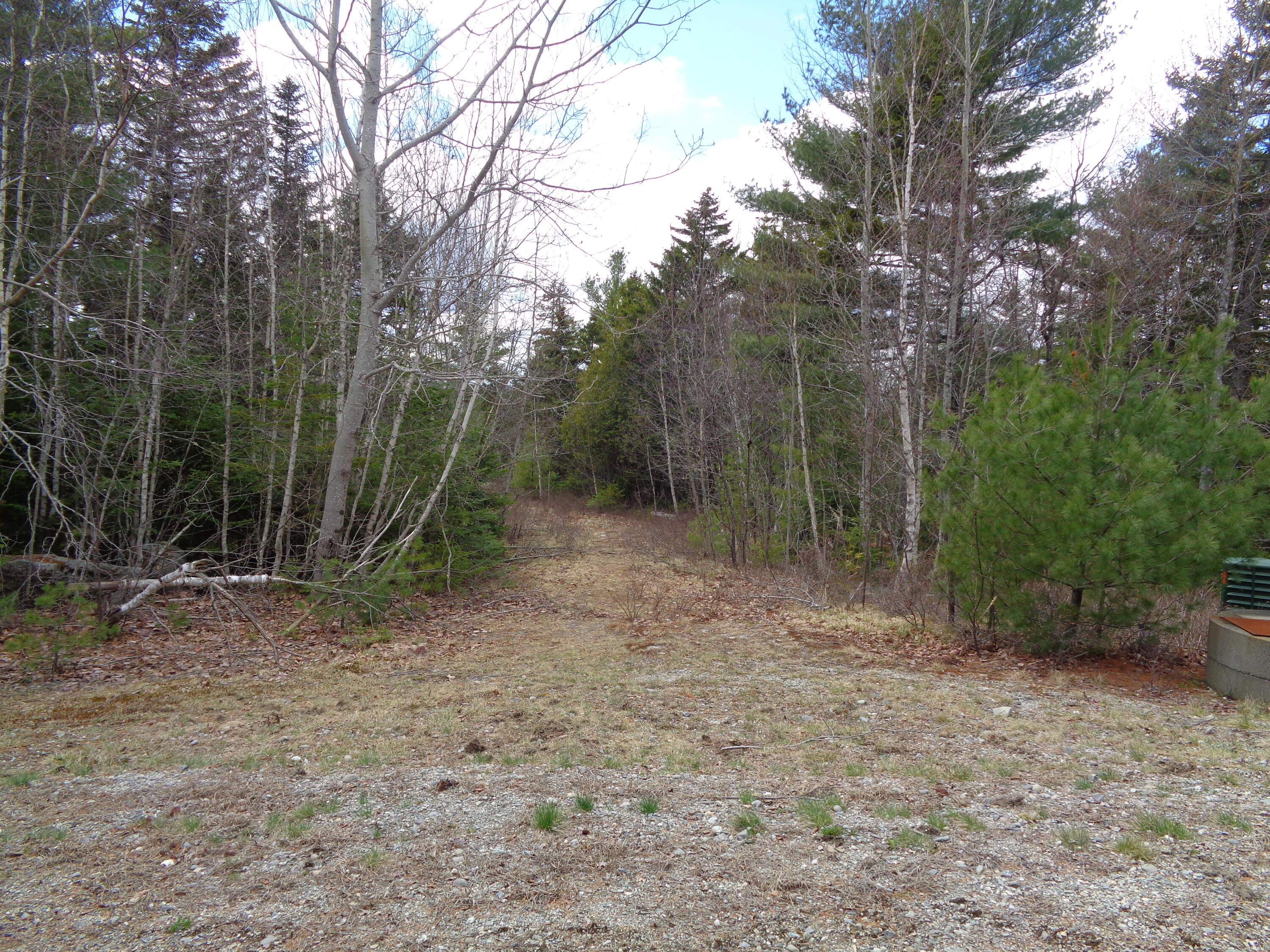 Lot 18 Bailey Mountain Road Franklin, ME 04634 - Photo 8 of 14 Partially cleared lots