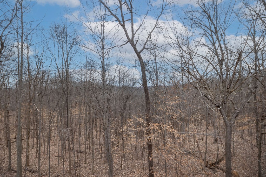 5184 Fire Tower Road Franklin, TN 37064 - Photo 39 of 70 a backyard of a house with lots of green space