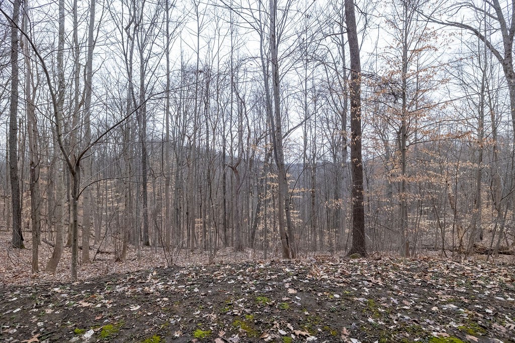 5184 Fire Tower Road Franklin, TN 37064 - Photo 50 of 70