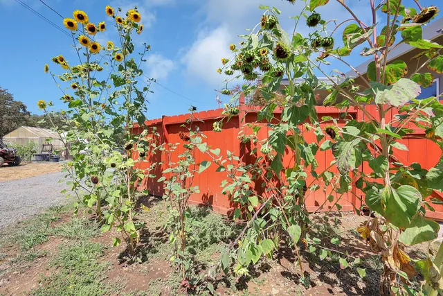 a view of outdoor space with trees