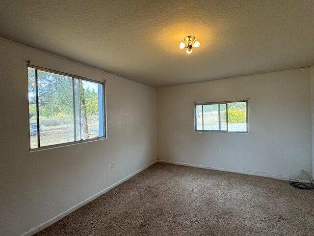 1580 Laurel Road Cave Junction, OR 97523 - Photo 13 of 26 IMG_0509