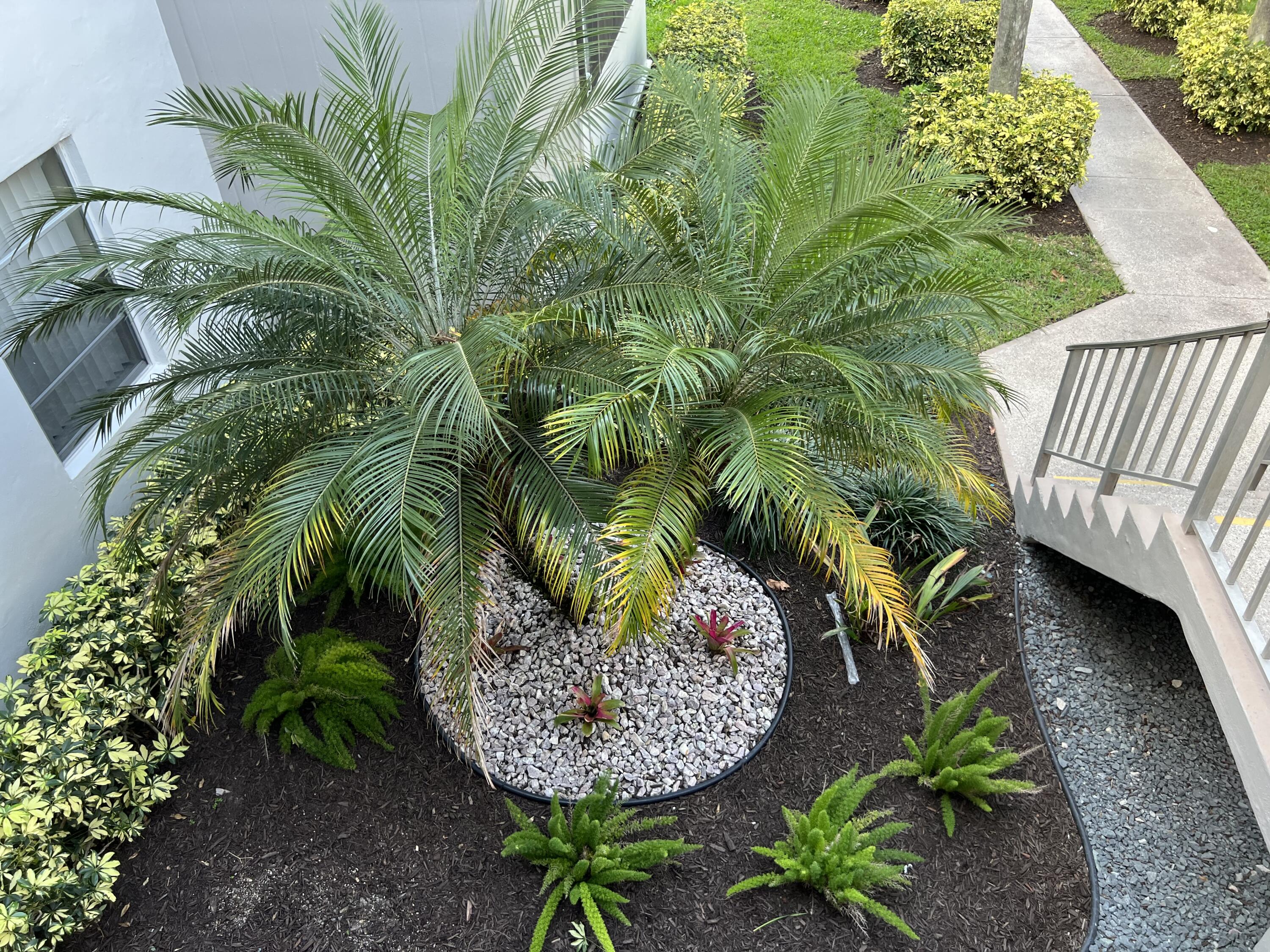 183 Normandy Lane Delray Beach, FL 33484 - Photo 51 of 80 F6BEAC86-D5D6-4F62-9DEC-54FFEF3AACB0