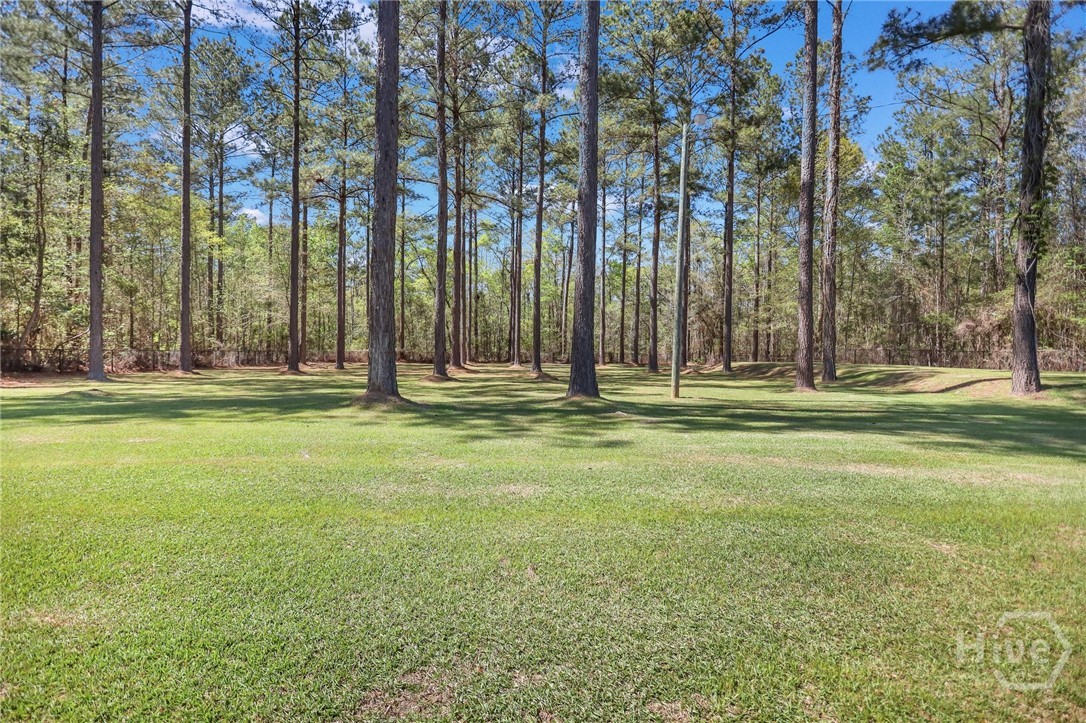 365 Barrington Ferry Road Midway, GA 31320 - Photo 49 of 54