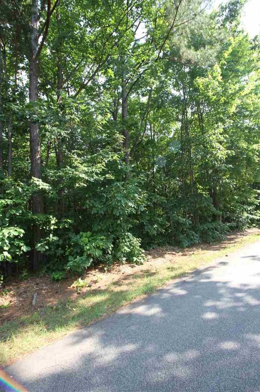 1 Pickle Hill Road Pickens, SC 29671 - Photo 5 of 6
