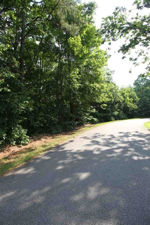 1 Pickle Hill Road Pickens, SC 29671 - Photo 6 of 6