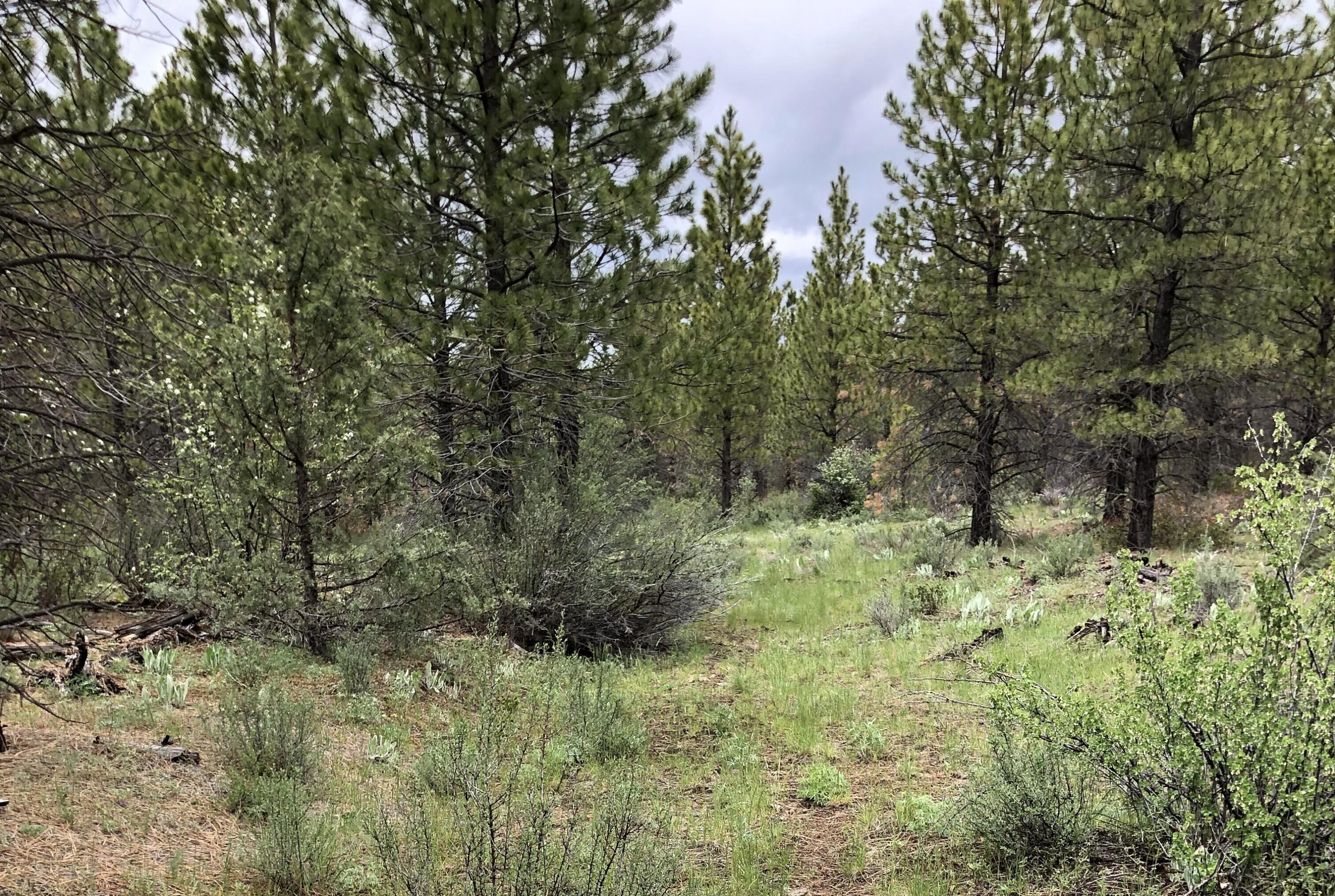 Bliss Road, Unit 2600 Sprague River, OR 97639 - Photo 21 of 30 More trails