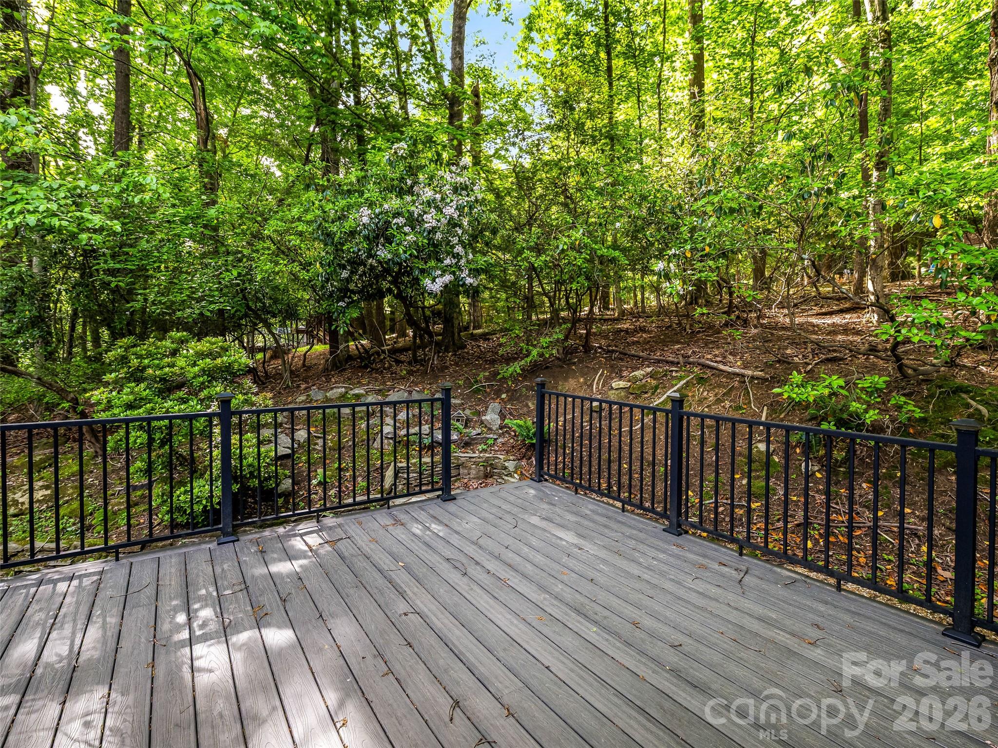 2388 Hebron Road Hendersonville, NC 28739 - Photo 33 of 48
