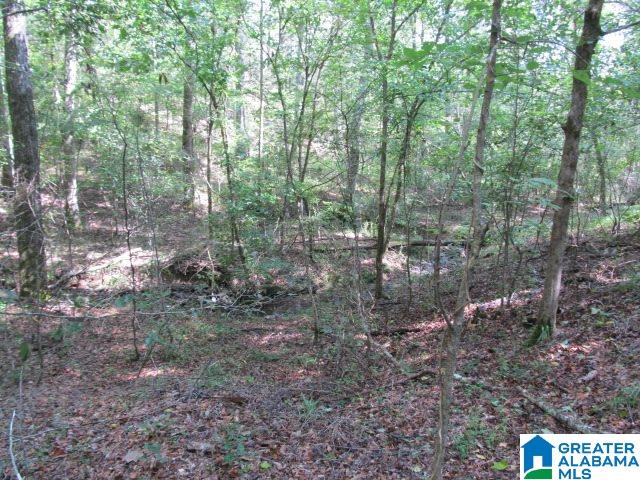 79 Highway 79, Unit 33 Cleveland, AL 35049 - Photo 26 of 32