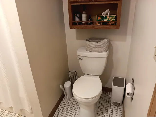 a bathroom with a toilet and a vanity