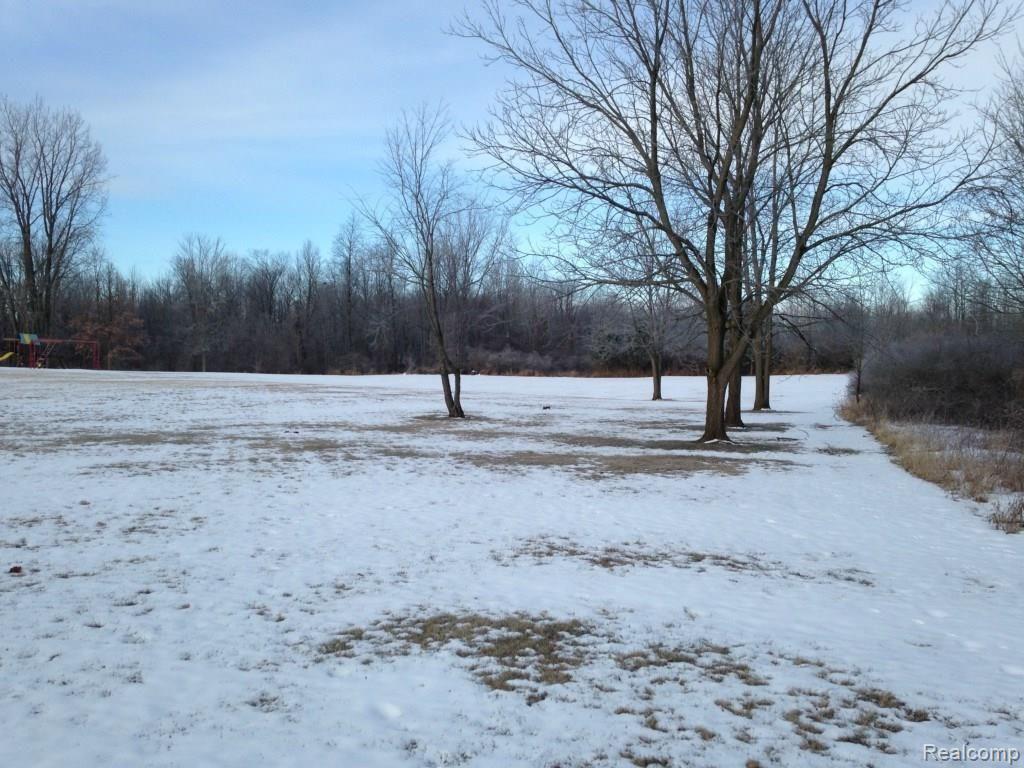 1375 West Marr Road Howell, MI 48855 - Photo 7 of 34 West view of beautiful lawn or possible crop land