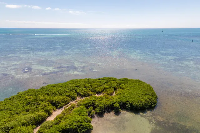 an aerial view of a house with a garden and lake view