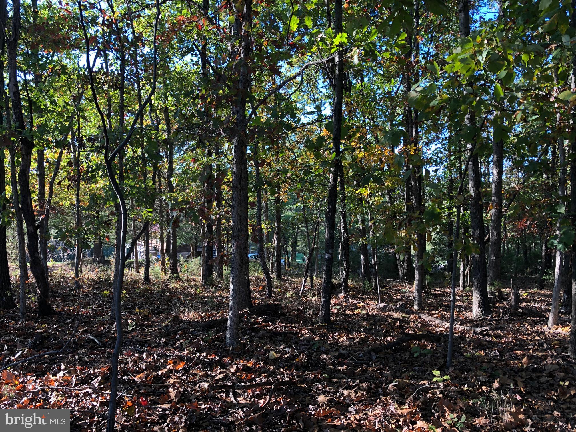 0 Fletcher Road Gore, VA 22637 - Photo 13 of 13 Beautiful land.