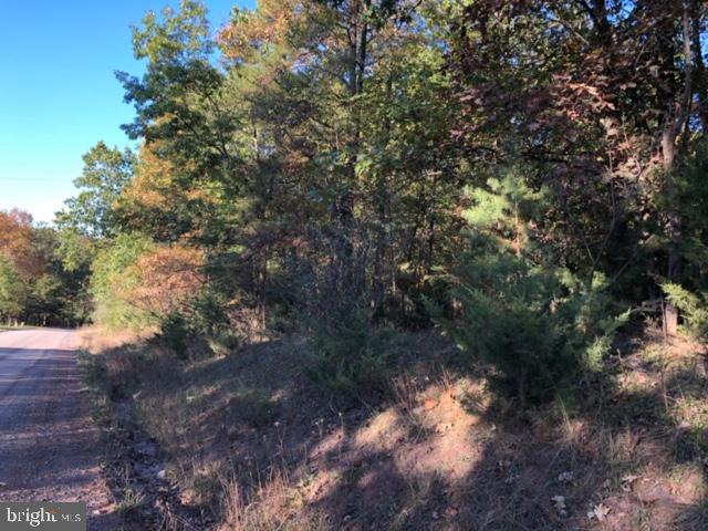 0 Fletcher Road Gore, VA 22637 - Photo 3 of 13 Great Road out to Rt 50.